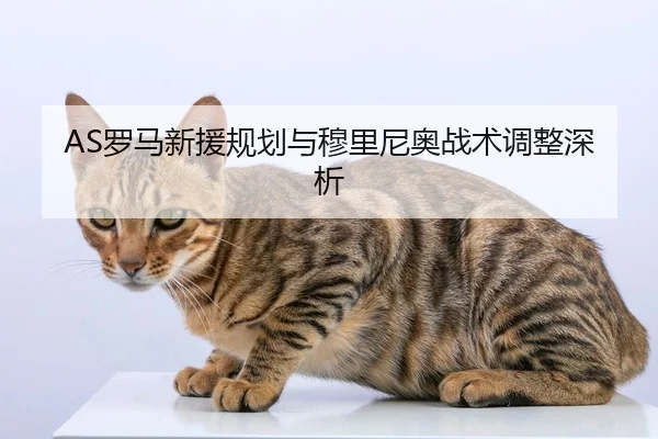 AS罗马新援规划与穆里尼奥战术调整深析
